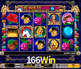 VIP Casino 166Win